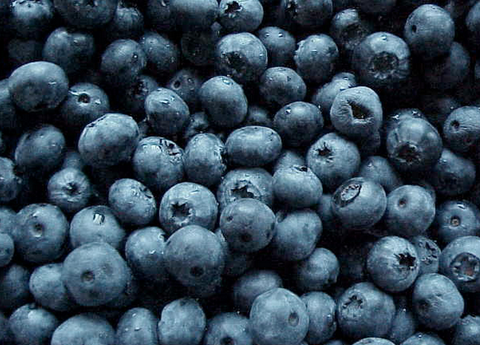 Blueberries Pack