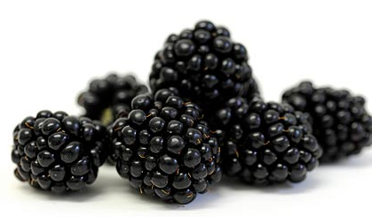 Blackberries