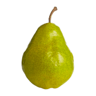 Barlett Pear