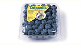 Driscoll's Blueberries pack