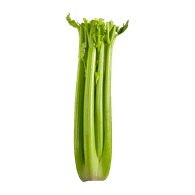 Celery