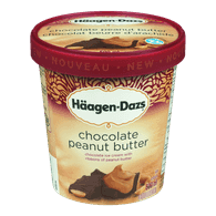 Häagen-Dazs Ice Cream Chocolate Peanut Butter