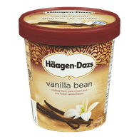 Häagen-Dazs Ice Cream Vanilla