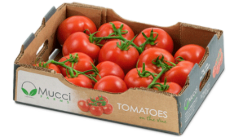 Mucci Tomatoes