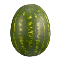 Watermelon Seeded